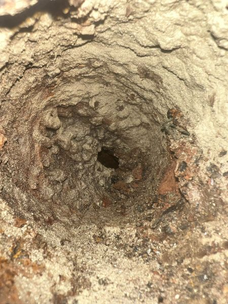 5 Signes que votre conduite d'égout principale est bouchée