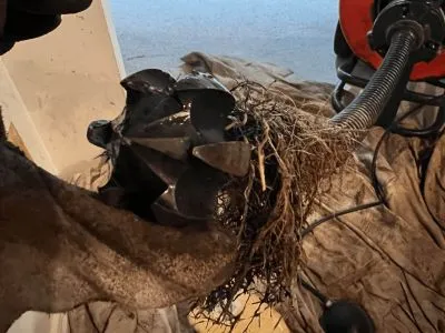 Entretien préventif des drains pour les propriétaires